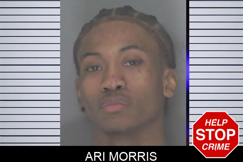 Ari Morris Mugshots
