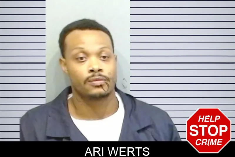 Ari Werts mugshot