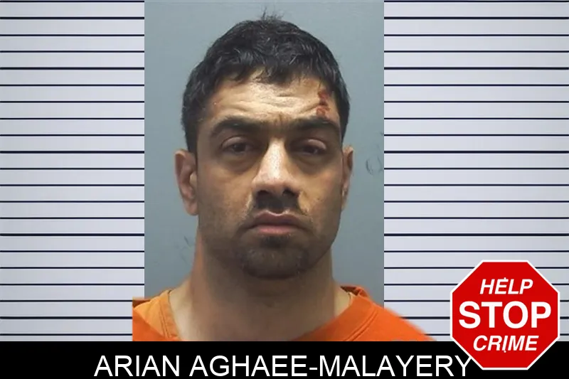 Arian Aghaee-Malayery Mugshots