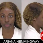 Ariana Hemmingway Mugshots