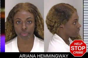 Ariana Hemmingway mugshot