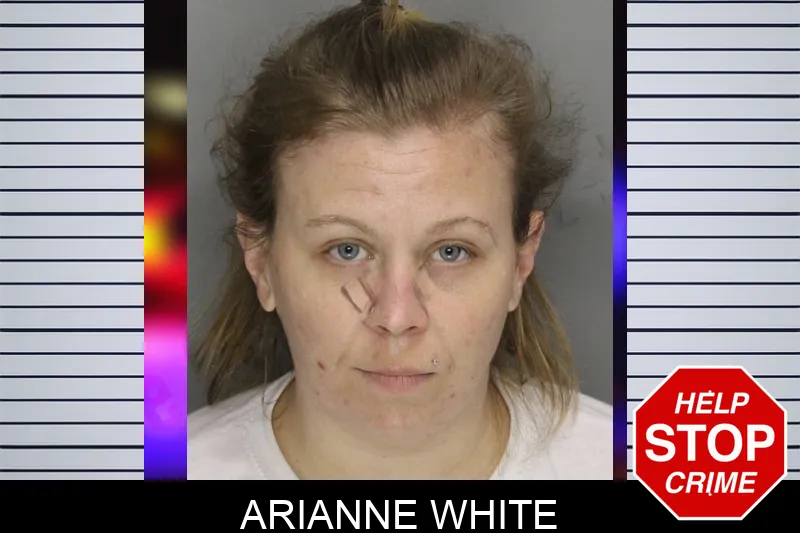 Arianne White Mugshots