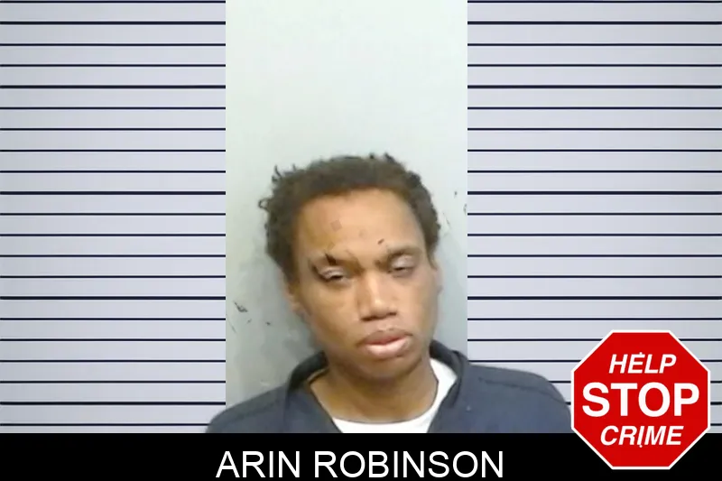 Arin Robinson Mugshots