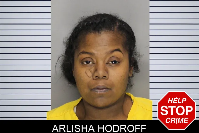 Arlisha Hodroff mugshot – Cobb County , Georgia Arlisha Hodroff mugshot