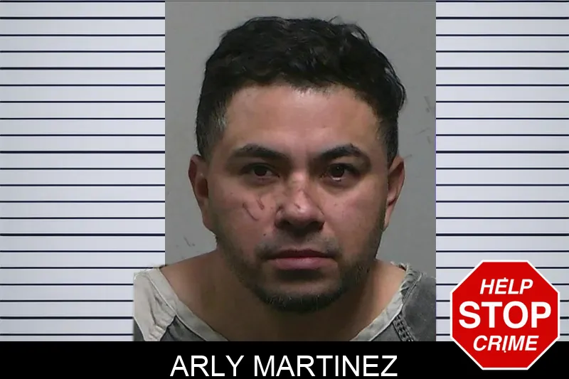 Arly Martinez Mugshots
