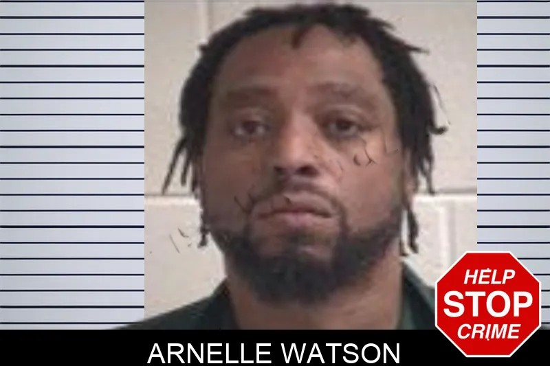 Arnelle Watson Mugshots