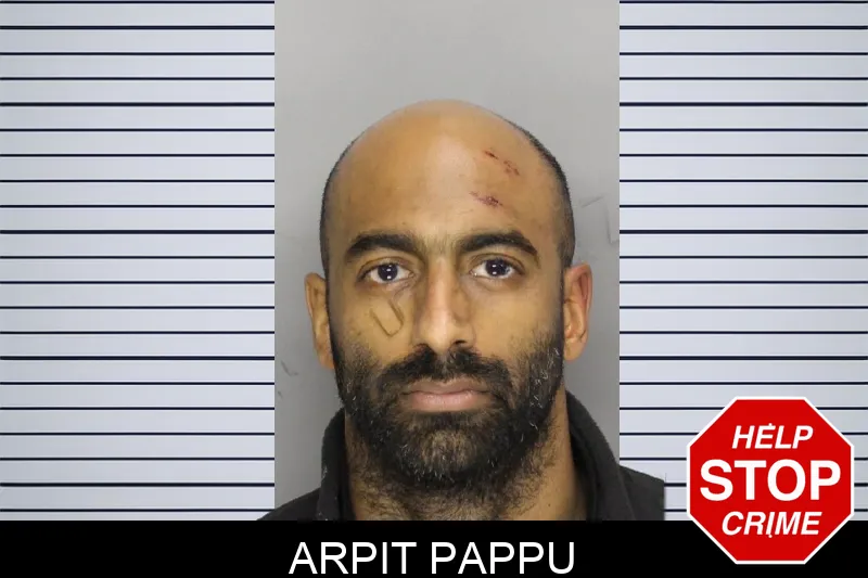 Arpit Pappu Mugshots