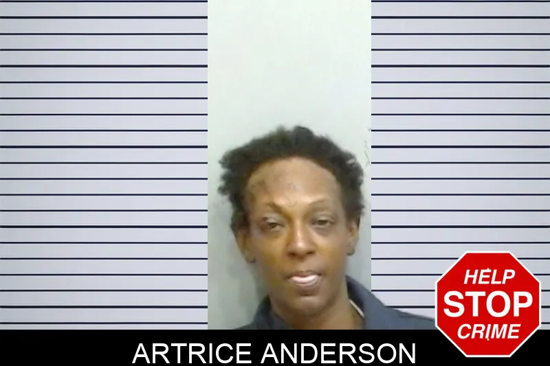 Artrice Anderson Mugshots