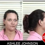 Ashlee Johnson Mugshots