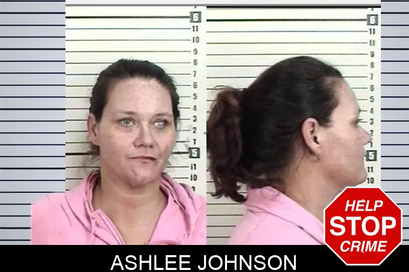 Ashlee Johnson Mugshots