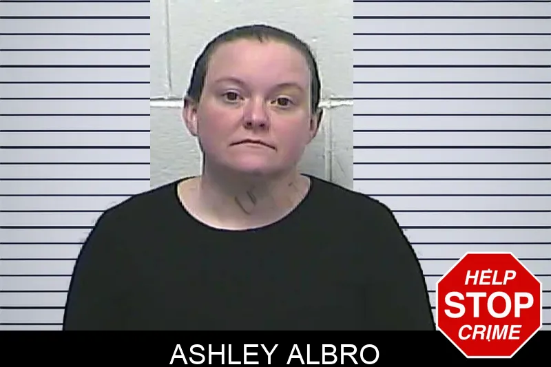 Ashley Albro Mugshots