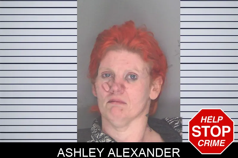 Ashley Alexander mugshot