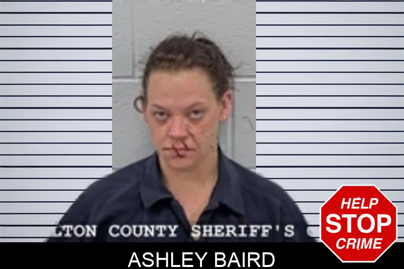 Ashley Baird Mugshots