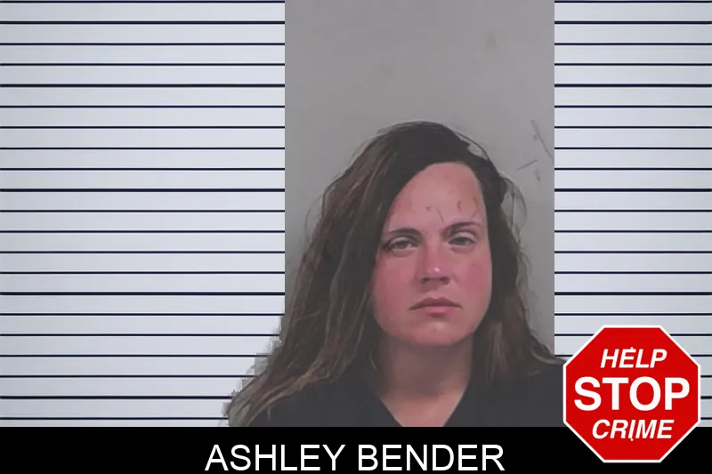 Ashley Bender Mugshots