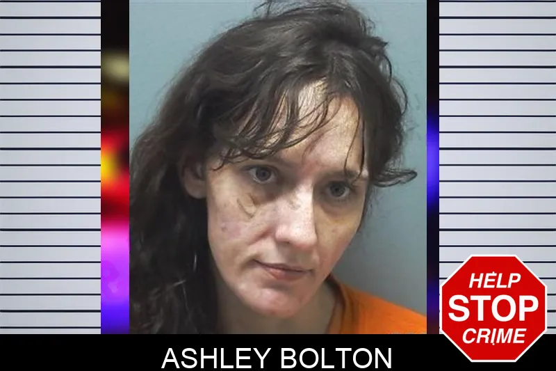 Ashley Bolton Mugshots