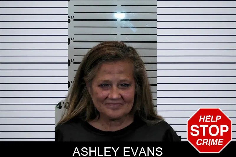 Ashley Evans Mugshots
