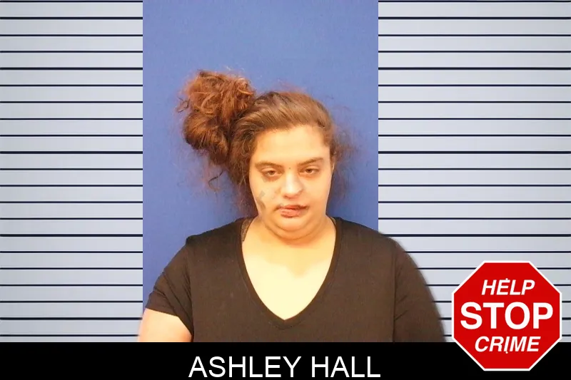 Ashley Hall Mugshots