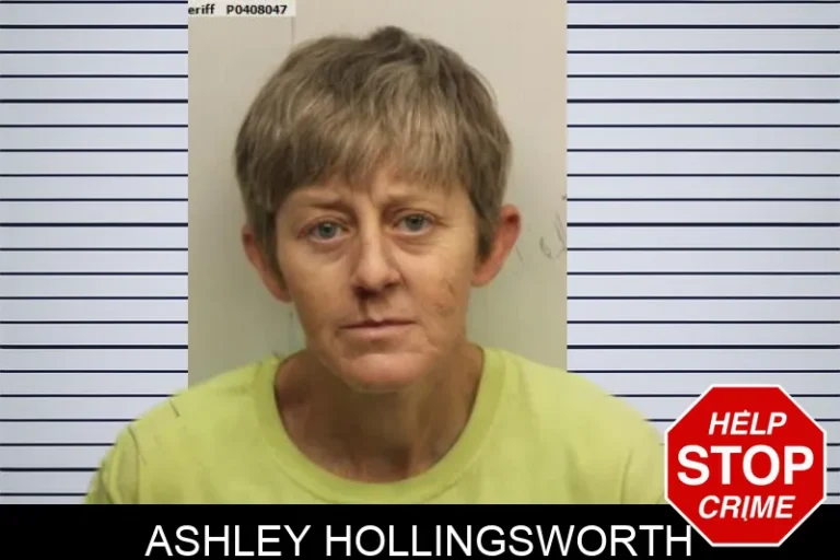 Ashley Hollingsworth mugshot – Chatham County , Georgia Ashley Hollingsworth