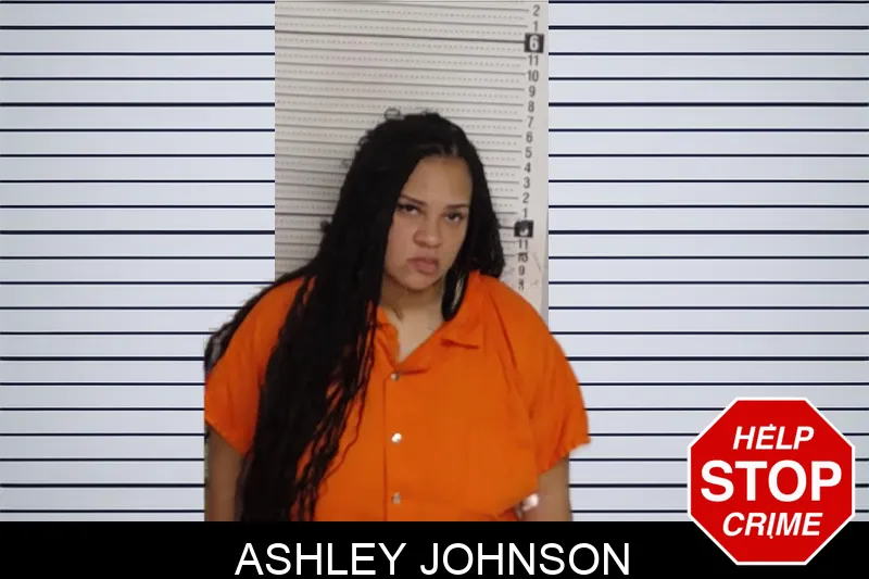 Ashley Johnson Mugshots