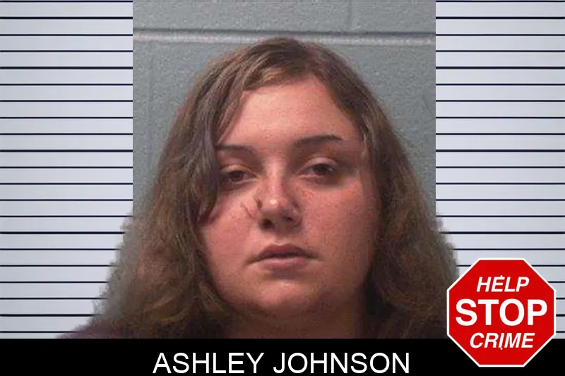 Ashley Johnson Mugshots