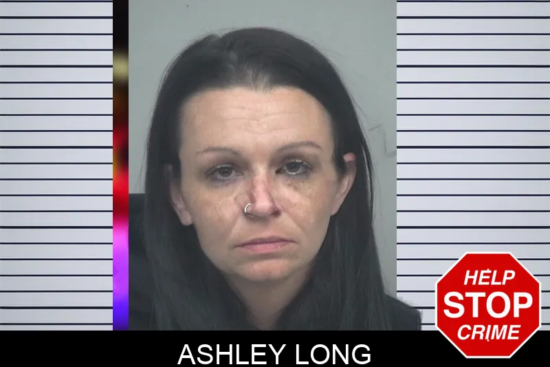 Ashley Long mugshot