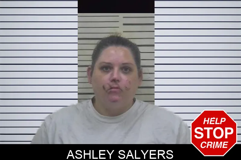 Ashley Salyers Mugshots