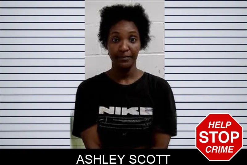 Ashley Scott Mugshots