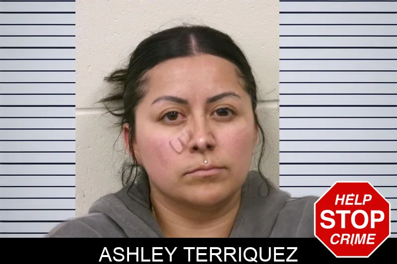 Ashley Terriquez Mugshots