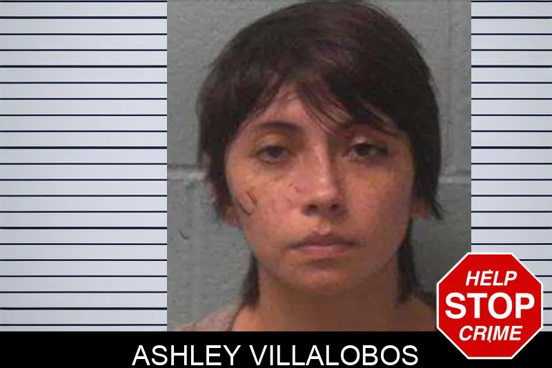 Ashley Villalobos Mugshots