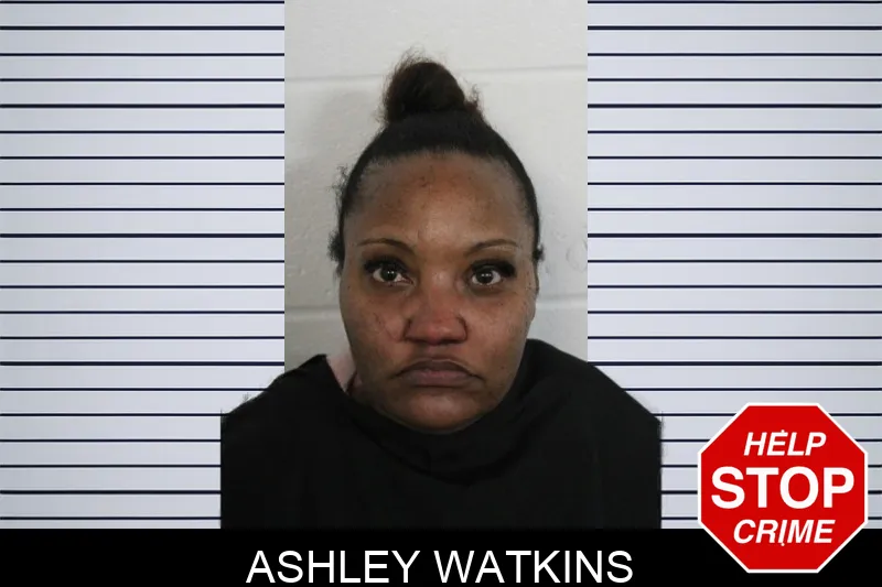 Ashley Watkins Mugshots
