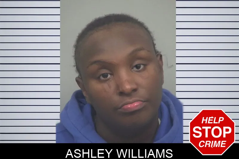 Ashley Williams mugshot – Gwinnett County , Georgia Ashley Williams mugshot