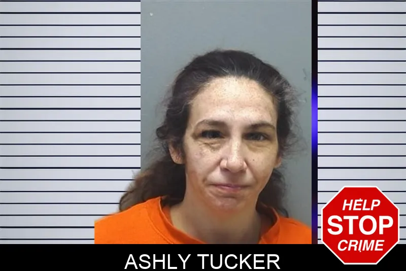 Ashly Tucker Mugshots