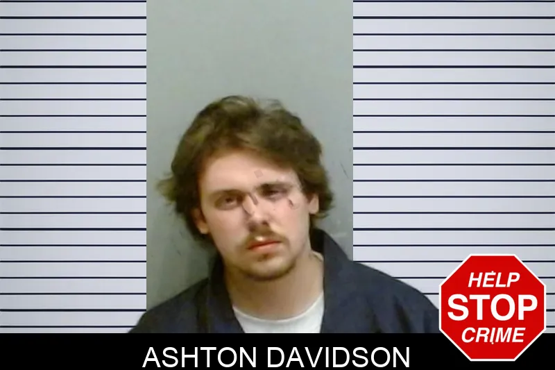 Ashton Davidson mugshot – Fulton County , Georgia Ashton Davidson mugshot