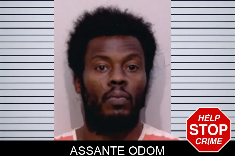 Assante Odom Mugshots