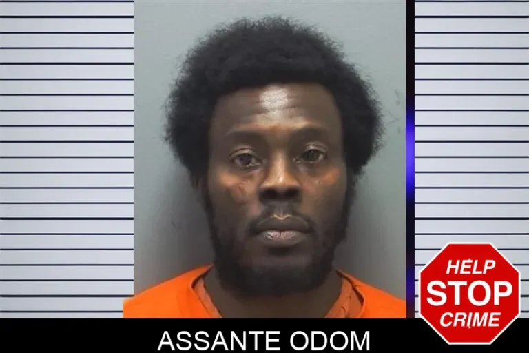 Assante Odom