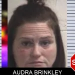 Audra Brinkley Mugshots