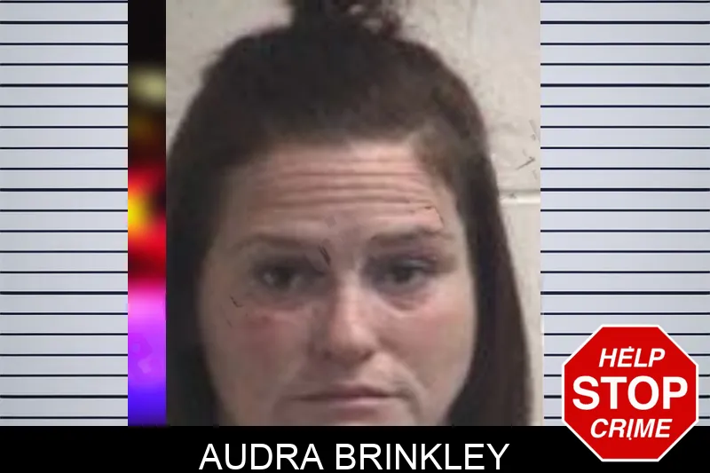 Audra Brinkley Mugshots