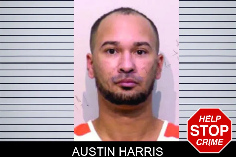 Austin Harris Mugshots