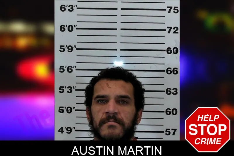 Austin Martin Mugshots