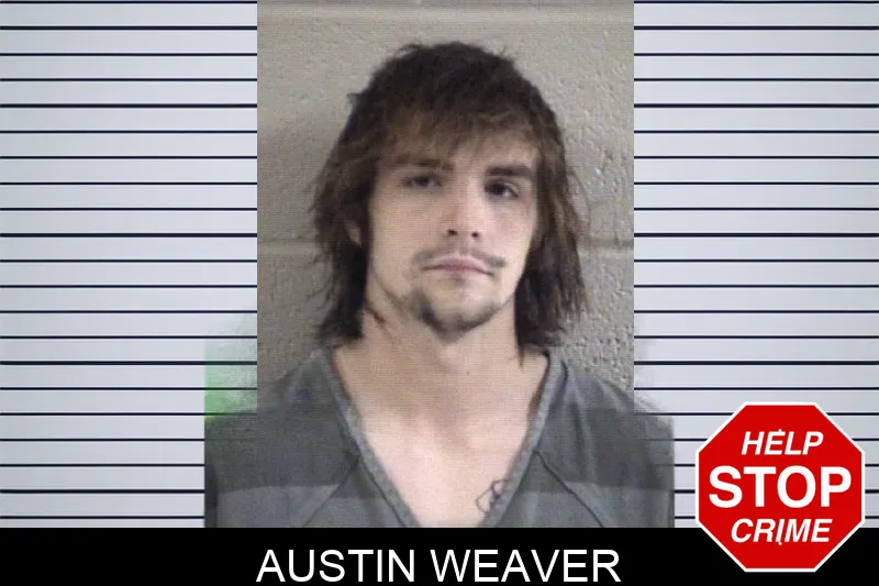 Austin Weaver Mugshots