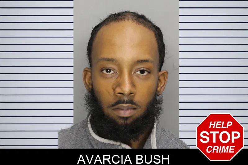 Avarcia Bush Mugshots