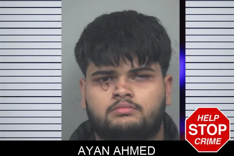 Ayan Ahmed