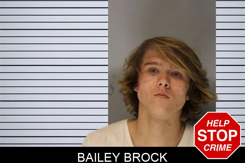 Bailey Brock Mugshots