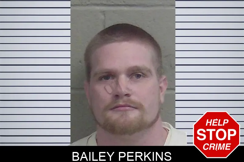 Bailey Perkins Mugshots