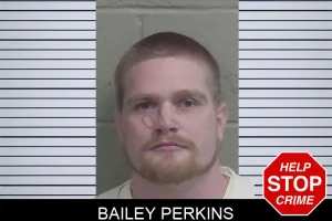 Bailey Perkins mugshot