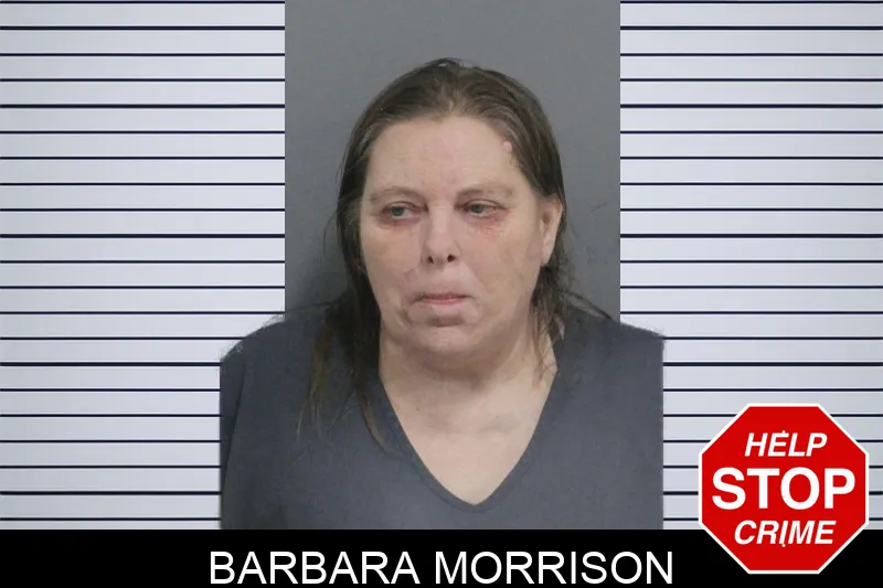 Barbara Morrison Mugshots