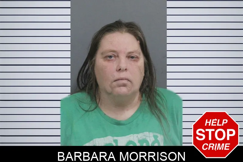 Barbara Morrison Mugshots