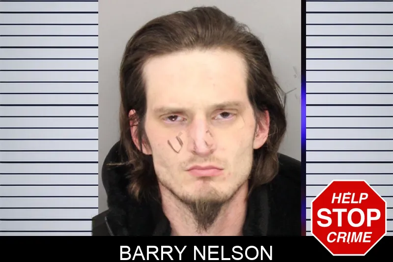 Barry Nelson Mugshots