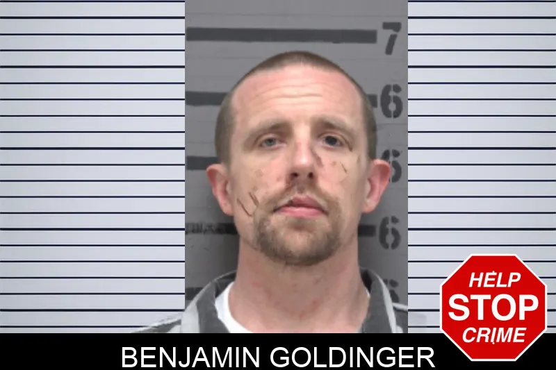 Benjamin Goldinger Mugshots
