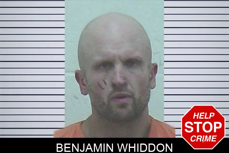 Benjamin Whiddon Mugshots